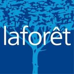 LAFOR&Ecirc;T IMMOBILIER ACCM IMMOBILIER